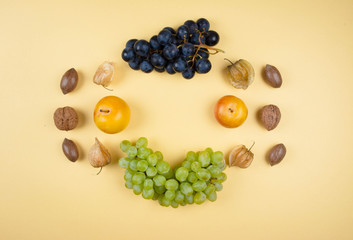 Autumn fruits and nuts on yellow background.