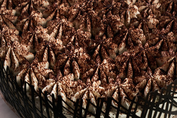 Tasty chocolate cake with whipped cream