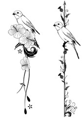 vector dividers with bird