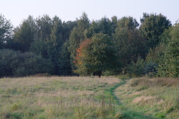 Sch&ouml;ner landschaftsweg