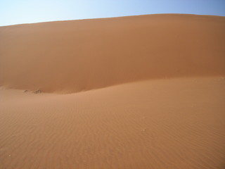 Fototapeta na wymiar Namib Desert, Namibia, Africa