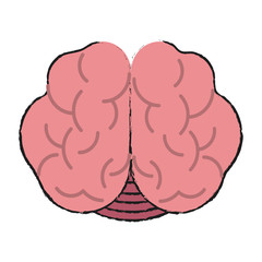 medical human brain vector icon illustration graphic design