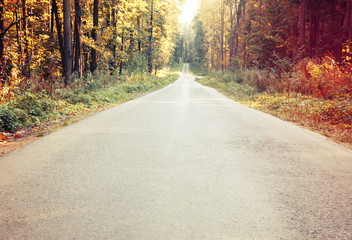 Fototapeta premium Bright autumn landscape. Autumn trees along the forest road. Toning