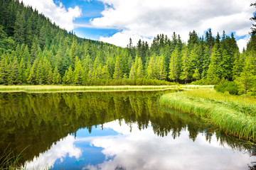 Fototapeta premium Blue water in a forest lake