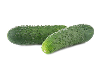 Fresh cucumbers on white background