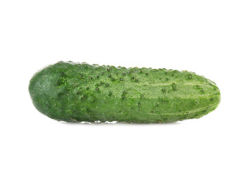 Fresh cucumber on white background