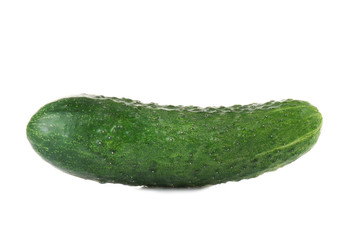 Fresh cucumber on white background
