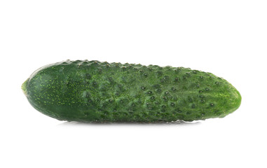 Fresh cucumber on white background