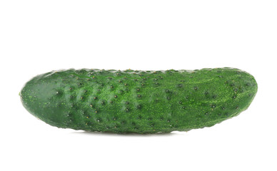 Fresh cucumber on white background