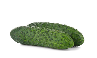Fresh cucumbers on white background