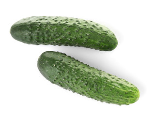 Fresh cucumbers on white background