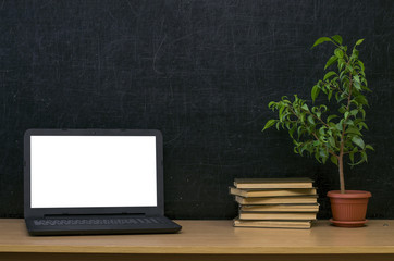 Teacher or student desk table. Education background. Education mockup concept. Laptop with blank screen, stacked books and plant in the pot on blackboard (chalkboard) background.