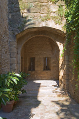 Fototapeta na wymiar Vulpellac pueblo pequeño de origen mendigaba en la provincia de Girona y en la zona del bajo Empurda