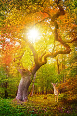 Herbst