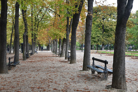 Allée du jardin du Luxembourg en automne à Paris, France