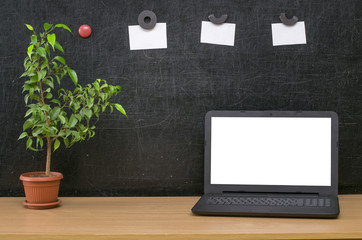 Teacher or student desk table. Education background. Education mockup concept. Laptop with blank screen, plant in the pot and note paper on blackboard (chalkboard) background.