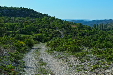 Fototapeta na wymiar Rocky mountain road, Dalmatia landscape