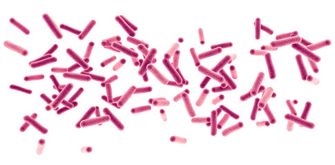 bacteria.
3d rendering of a bacteria.