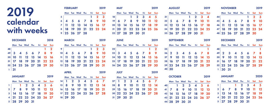 2019 calendar grid with weeks vector illustration