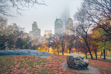 Central park at rainy morning, New York City, USA