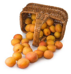 image of apricot in basket close-up