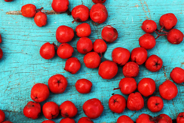 Beautiful autumn rowan on a wooden table