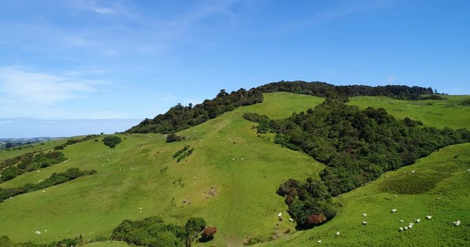 Idyllic countryside farmland nature landscape with hills filled with Sheep on grass on south island of New Zealand. Aerial drone footage video.
