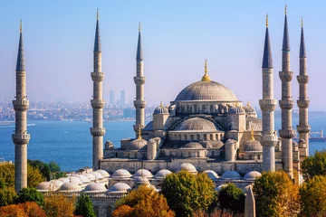 Deurstickers Blauwe Moskee Blauwe Moskee, Istanbul, Turkije © Boris Stroujko