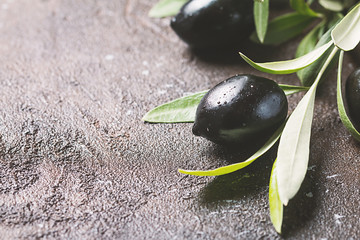 Olives on branch with leaves