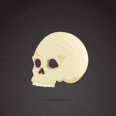 Skull vector icon.