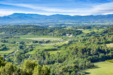 Idyll in the South of France