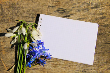 Bouquet of spring flowers and notepad on wooden background
