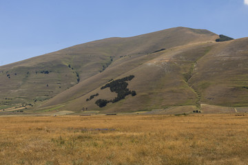 Obraz premium Small Green Italy