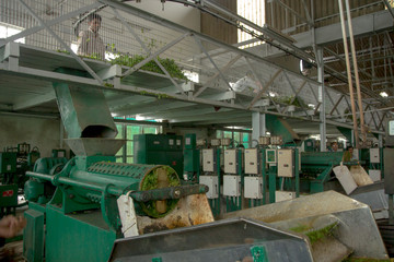 Inside a tea factory in Assam. India