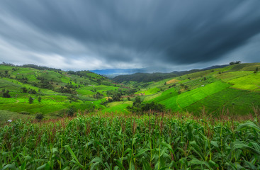 Green Terraces rice field scenery with raining cloudy at Baan Papongpieng Chiang Mai Thailand