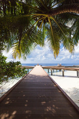 Wooden pier on maldivian island
