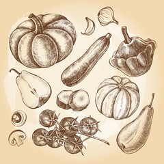 Ink hand drawn set of vegetables and fruits - cherry tomatoes, zucchini, pumpkin, patisson, pears. Autumn harvest elements collection. Vector illustration. Template for menu, posters design. - 173706774