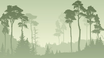 Horizontal illustration of misty forest in green tone.