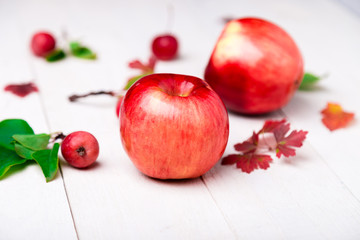 Red apples big and small on white wooden background.  Close up. Autumn concept. © bondarillia