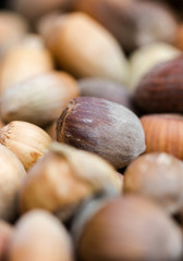 Sun dried brow, fresh in shell, hazelnuts background