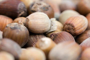 Sun dried brow, fresh in shell, hazelnuts background