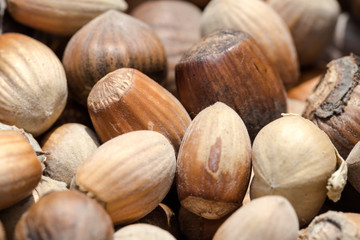 Sun dried brow, fresh in shell, hazelnuts background