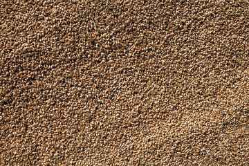 texture of wheat grain