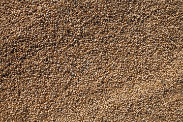 texture of wheat grain