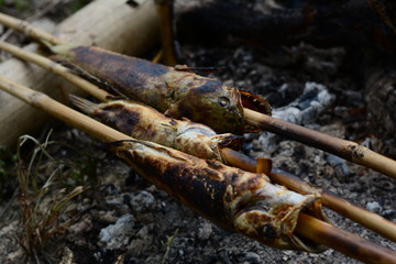 fish roast ,adventure and outdoor easy cooking