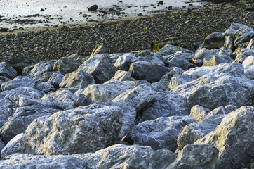 Rocks on the Beach