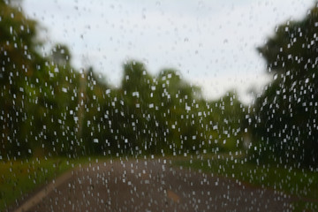 the blurred background of raining and the trees along the way