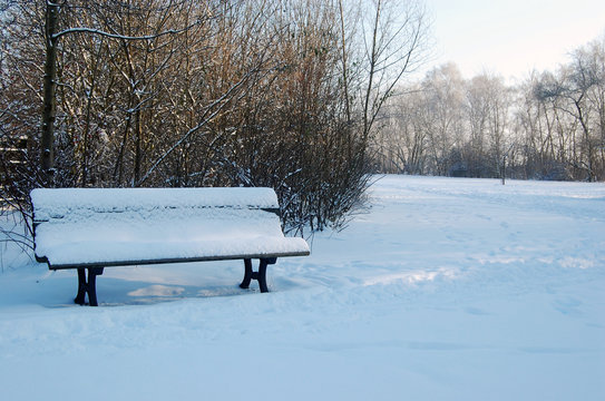 Lonely park bench at sunny winter day