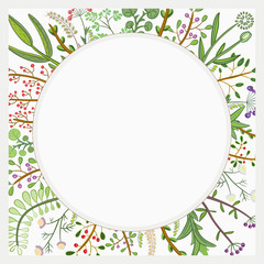 Decorative frame of hand-drawn and painted twigs with leaves, berries and flowers.
Vector graphics.