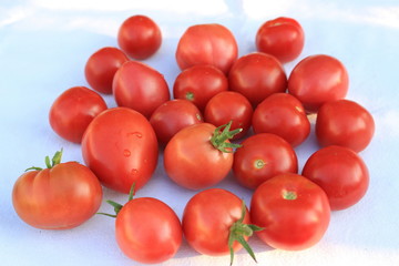 Bunch of succulent ripe fresh red tomatoes on the vine in a bowl on a white cotton cloth, view from above